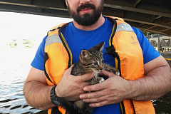 На Обводном канале спасли тонувшего котёнка