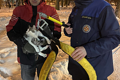 Спасли кота в Троицке